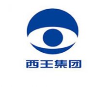 【客户案例】山东西王特钢有限公司