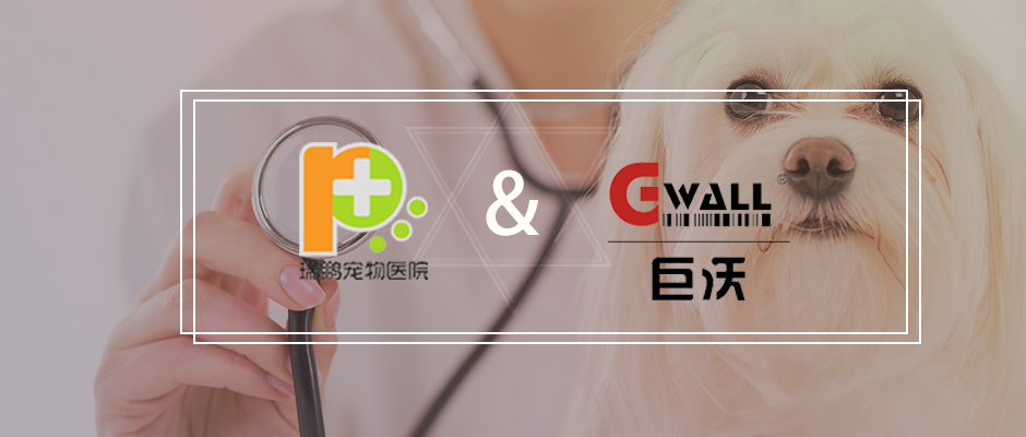 【医药】巨沃科技签约行业龙头瑞鹏宠物医疗集团
